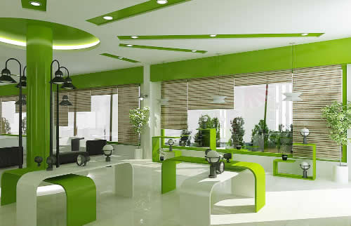 Thiết kế nội thất - Showroom